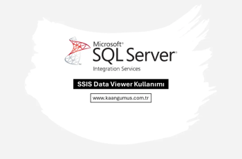SSIS Data Viewer Kullanımı
